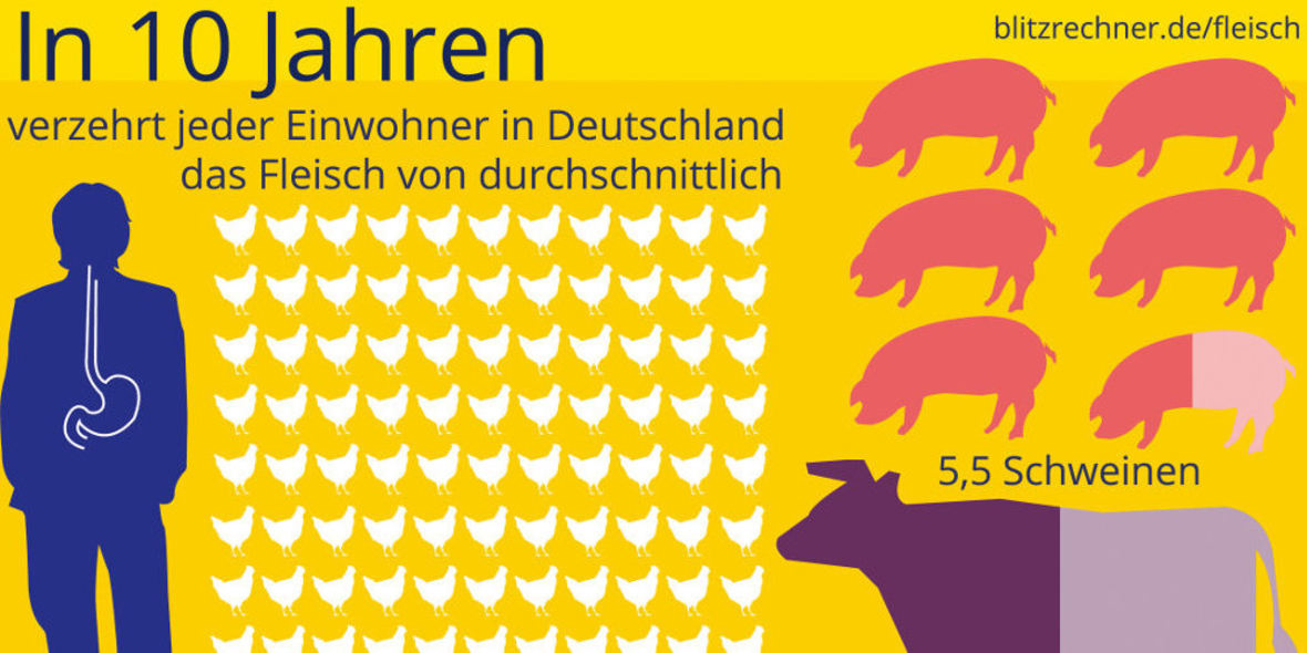 Was verschlingt mein Fleischkonsum?