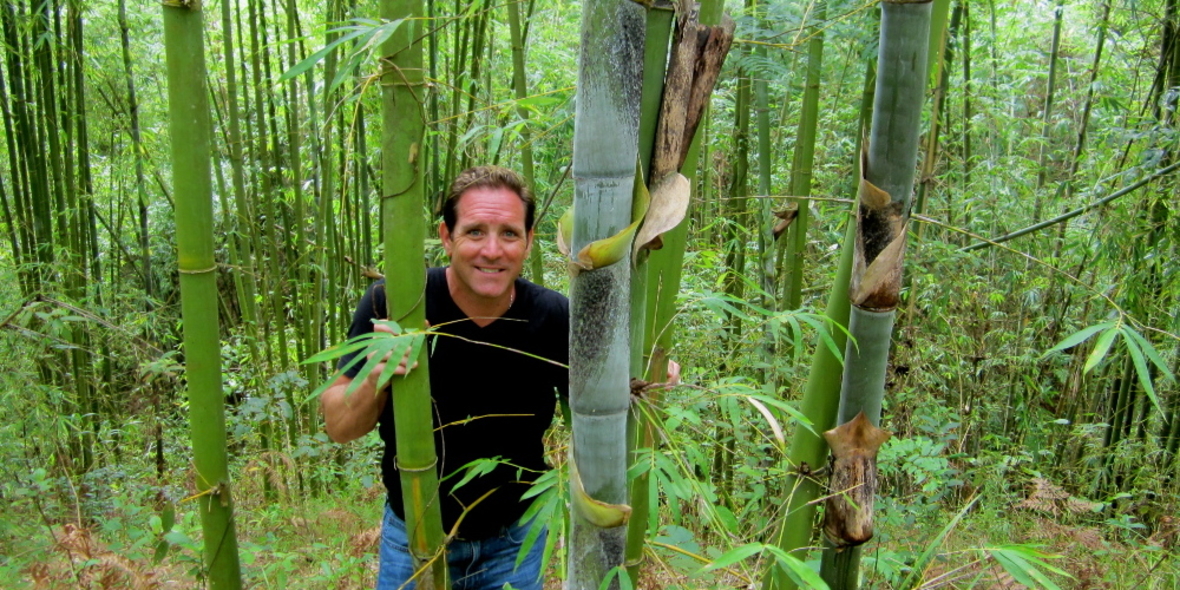 EcoPlanet Bamboo: Nachhaltiger Bambusanbau