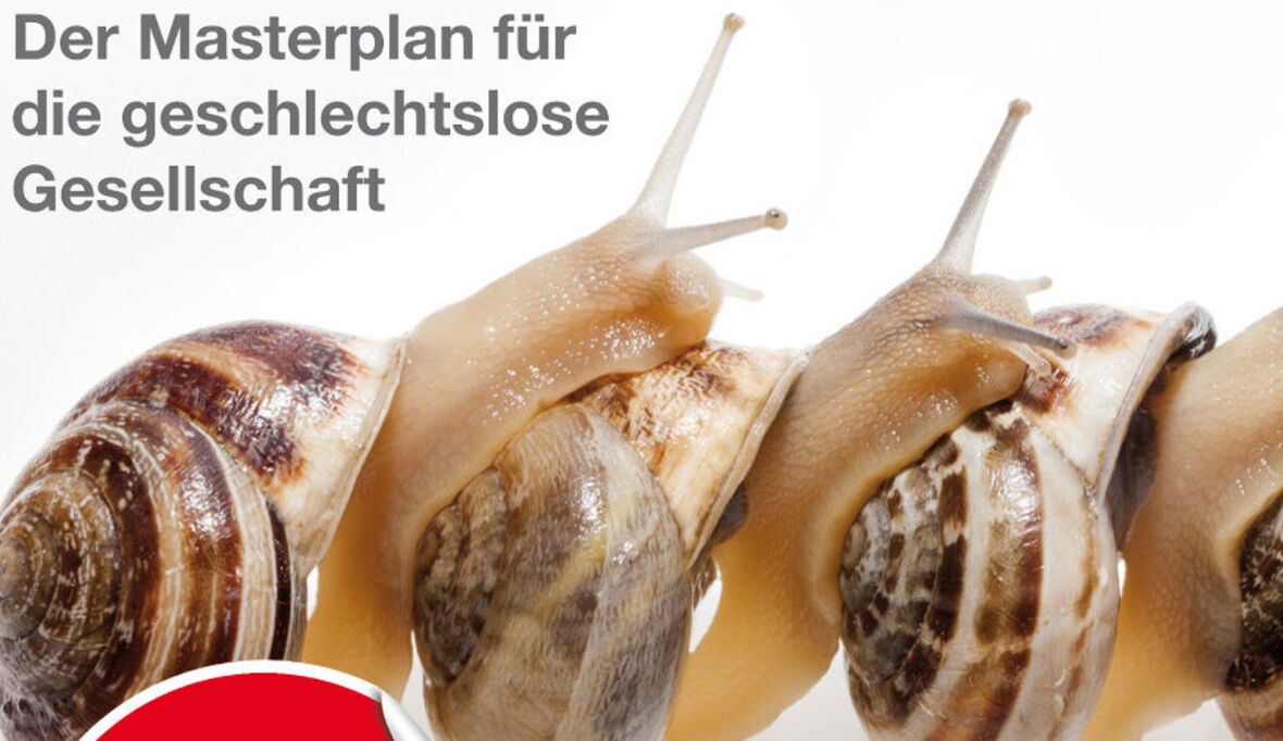 "Gender Mainstreaming ist nicht die Lösung, sondern das Problem"