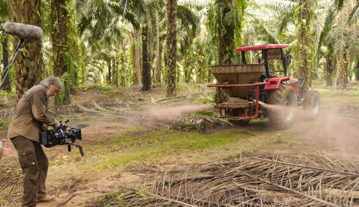 Dokumentarfilm über Kehrseite des Palmöl-Booms