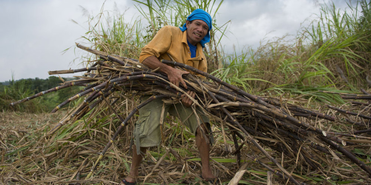 Der Faire Handel in Deutschland knackt die Milliarde
