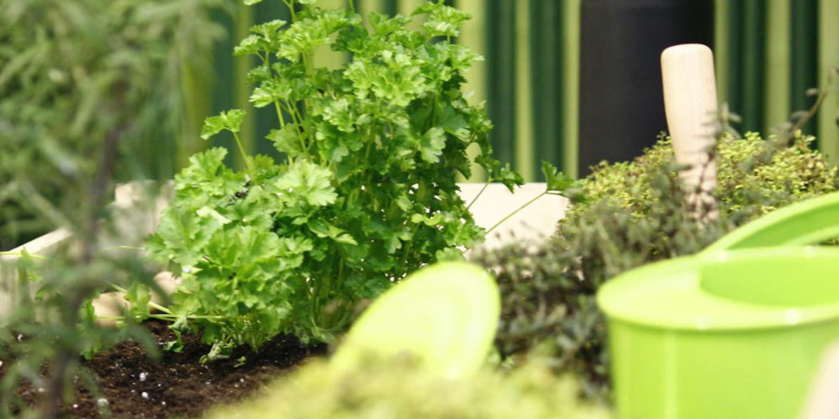 Das Pestizid von nebenan