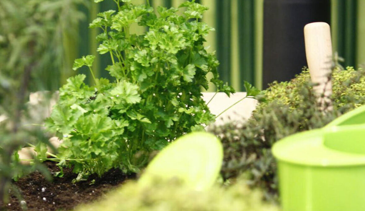 Das Pestizid von nebenan