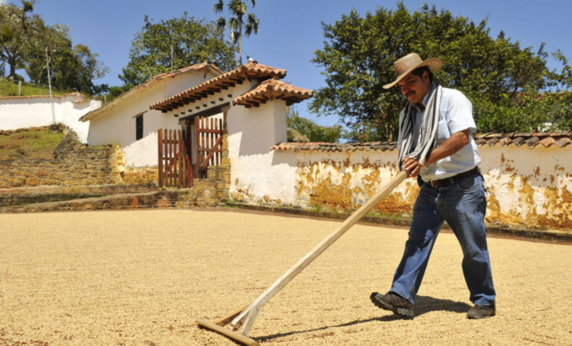 Kaffeefarmer in Lateinamerika sind auf hohe Verkaufspreise angewiesen.