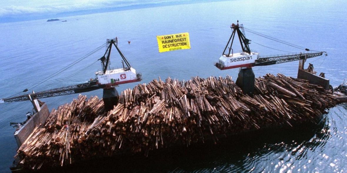 Schutzabkommen für Kanadas Küstenregenwald geschlossen