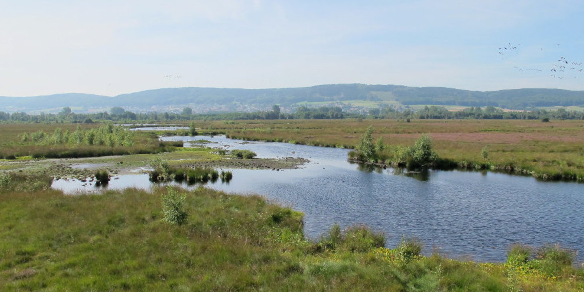 Deutschland braucht mehr gesunde Moore
