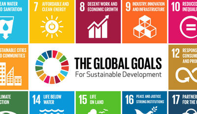 DAX-Unternehmen berichten vermehrt zu SDGs