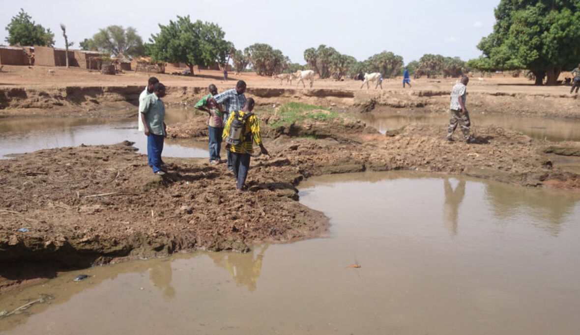 Biologische Mückenbekämpfung hilft gegen Malaria