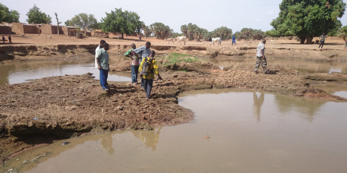 Biologische Mückenbekämpfung hilft gegen Malaria