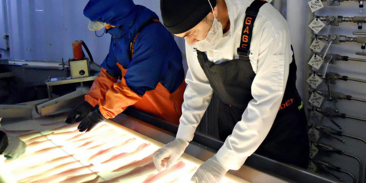 iglo Deutschlandchefin setzt mit neuer Strategie maßgebliche Akzente