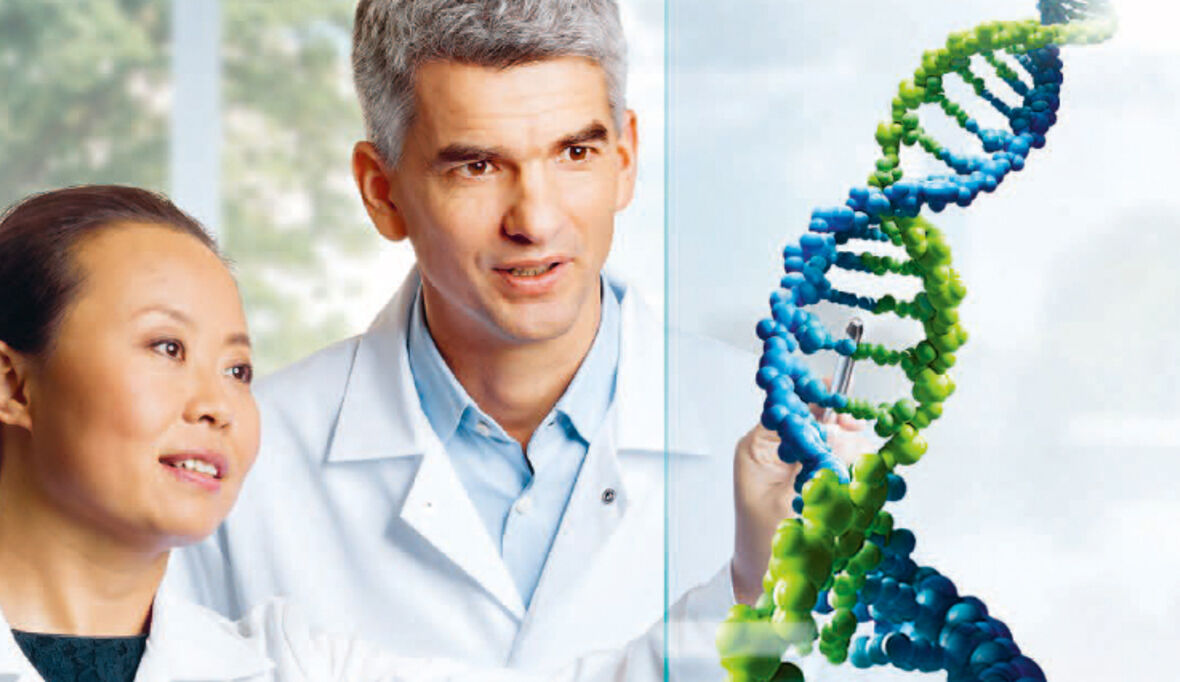 Bayer verbessert Nachhaltigkeits-Performance 