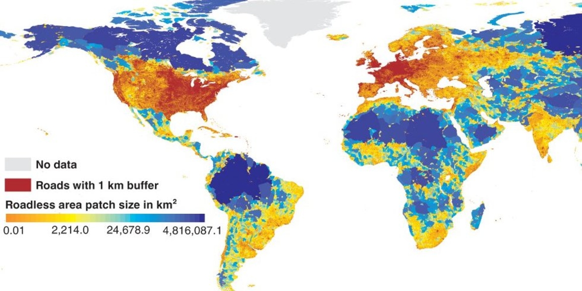 Zerrissene Welt: Straßen zerstückeln fast die gesamte Erde