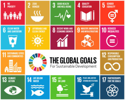 Die Nachhaltigen Entwicklungsziele (Sustainable Development Goals - SDGs) greifen 17 Oberthemen auf, die bis zum Jahr 2030 von der Weltgemeinschaft angegangen werden sollen.