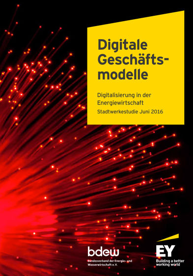 Stadtwerke-Studie 2016