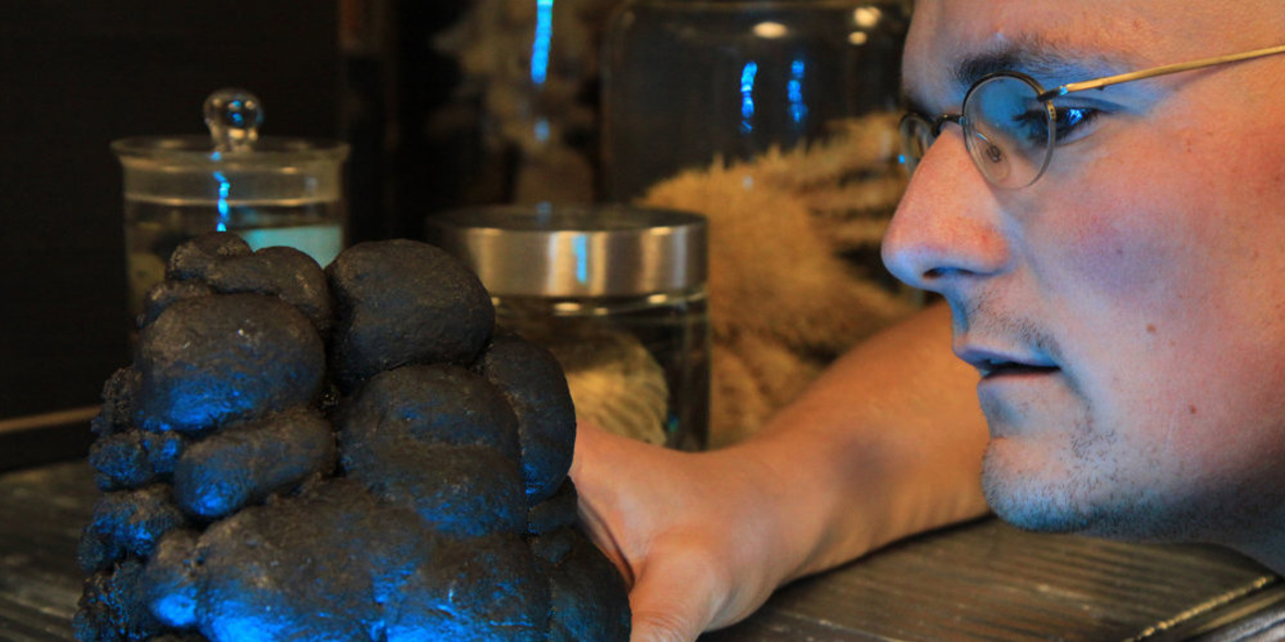 Abbau von Manganknollen bedroht Artenvielfalt in der Tiefsee