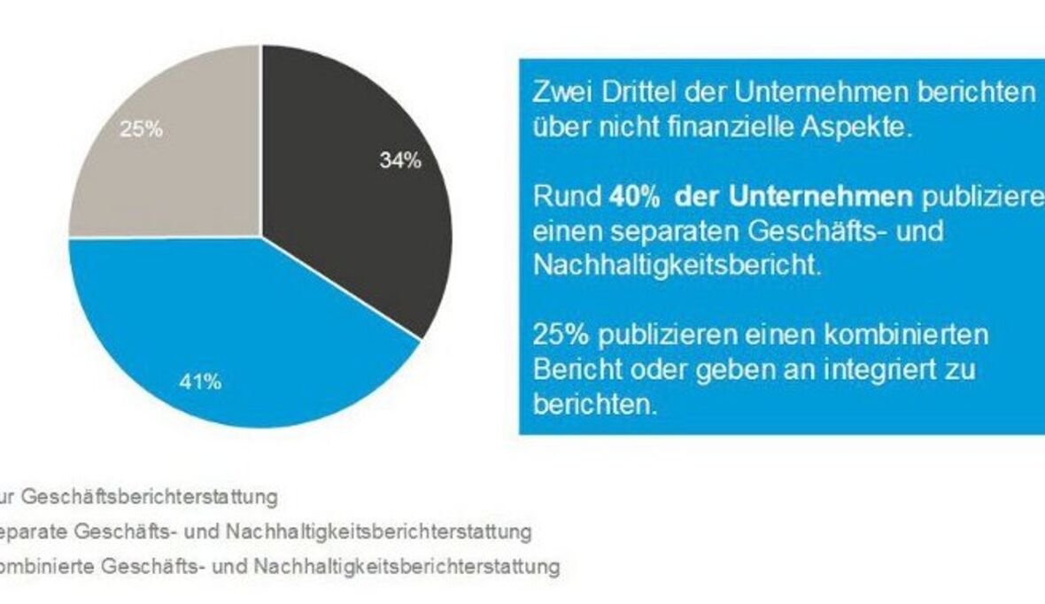 CCR-Studie zu IT-basierter Unterstützung im Reporting