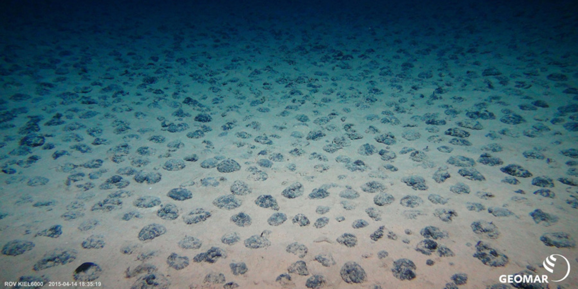 Tiefseebergbau: Forscher fordern mehr Schutzgebiete