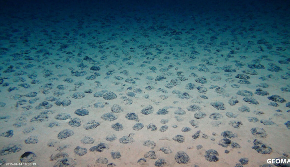 Tiefseebergbau: Forscher fordern mehr Schutzgebiete