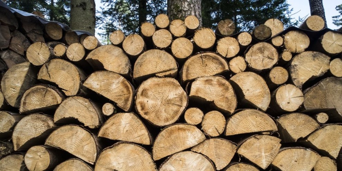 Landnutzung verursacht mehr CO2 als bisher angenommen