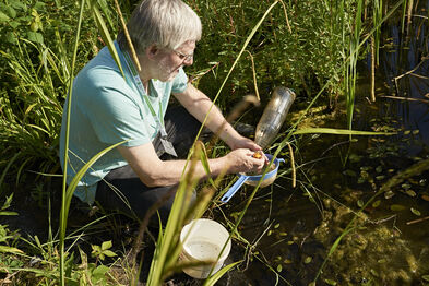 Martin Schlüpmann beim Kontrollieren der Wasserfalle am Artenschutzgewässer auf Zollverein
