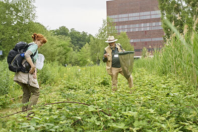 Schmetterling- und Wanzenexperten im Gelände am GEO-Tag der Natur auf Zollverein