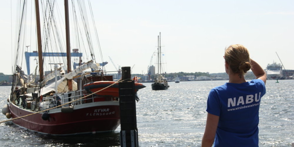 Die Hälfte der deutschen Meeresschutzgebiete müssen nutzungsfrei bleiben