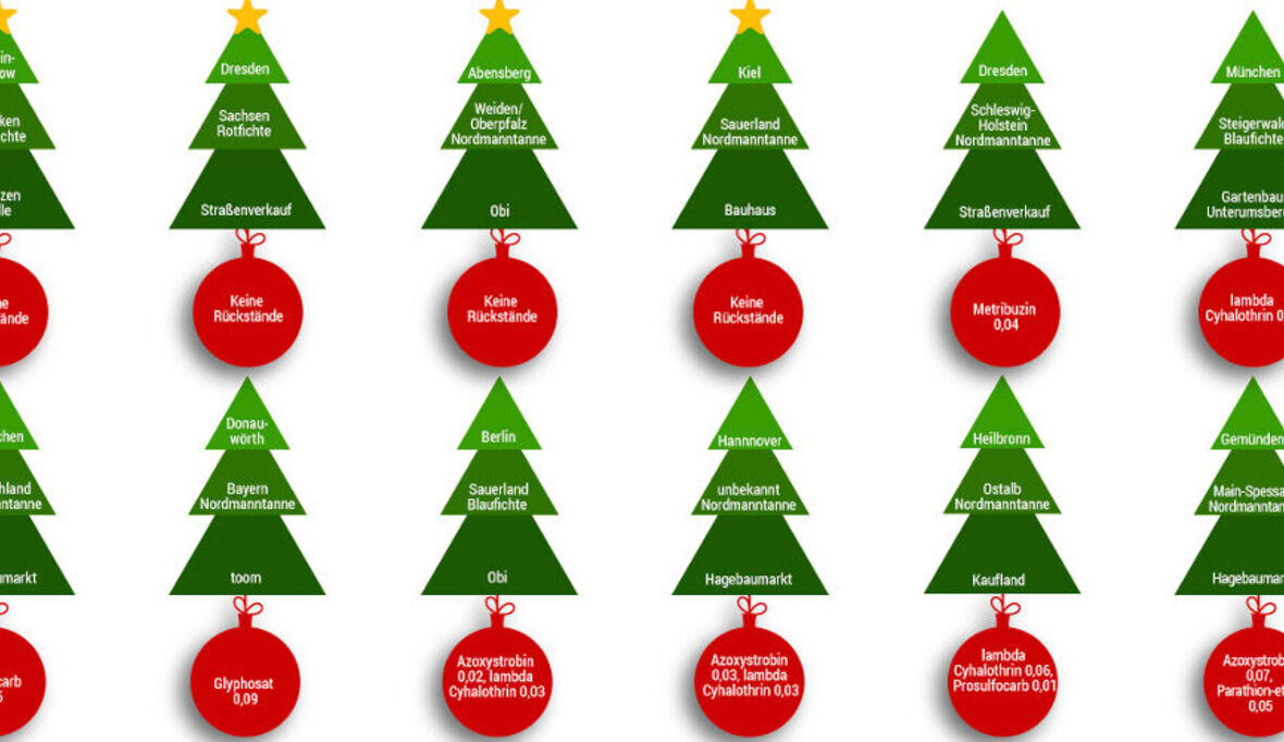 Weihnachtsbäume: 76 Prozent mit Pestiziden belastet