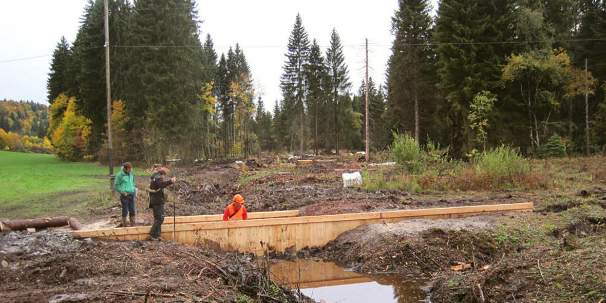 Klimaschutz durch Hochmoorschutz – max.moor macht‘s möglich