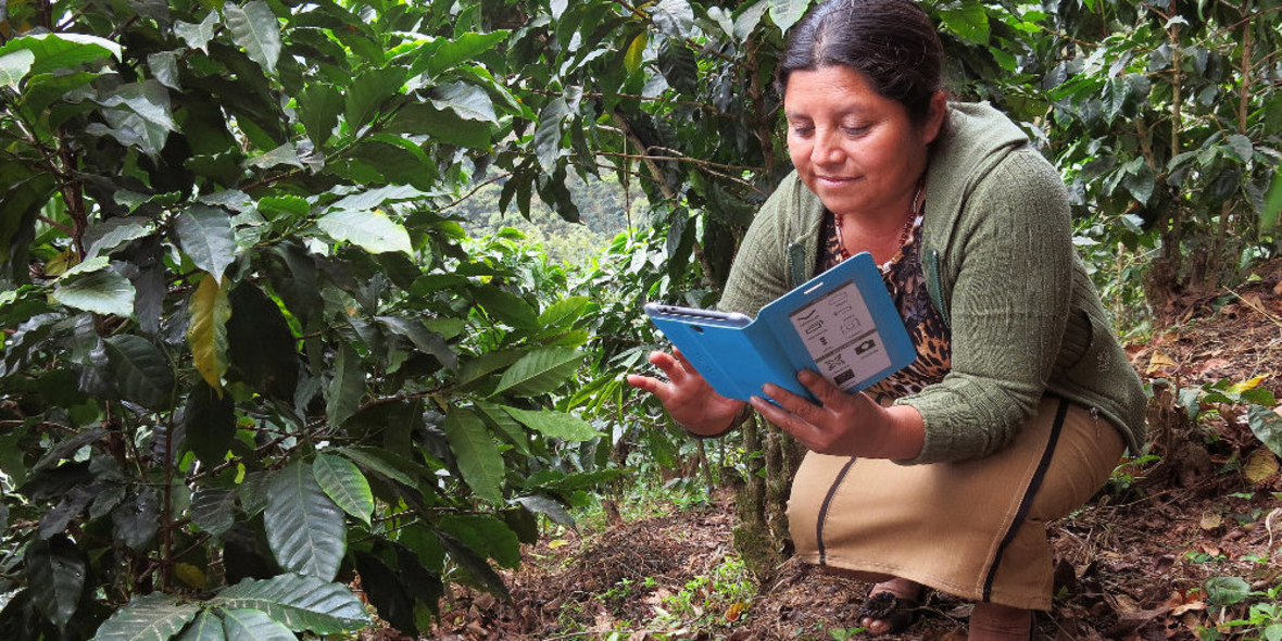 Rainforest Alliance unterstützt Farmer digital