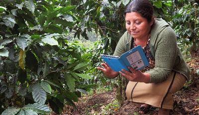Rainforest Alliance unterstützt Farmer digital