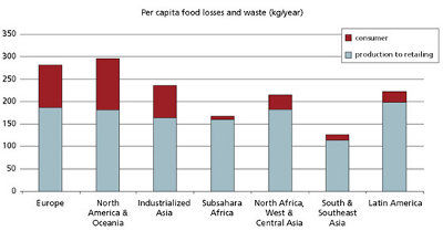 Grafik zur Verschwendung von Lebensmitteln.