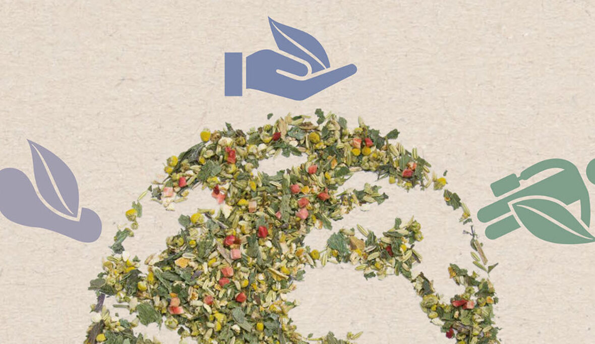 OTG veröffentlicht zweiten Nachhaltigkeitsbericht