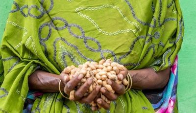 Erdnüsse in Äthiopien: Von wegen „Peanuts“