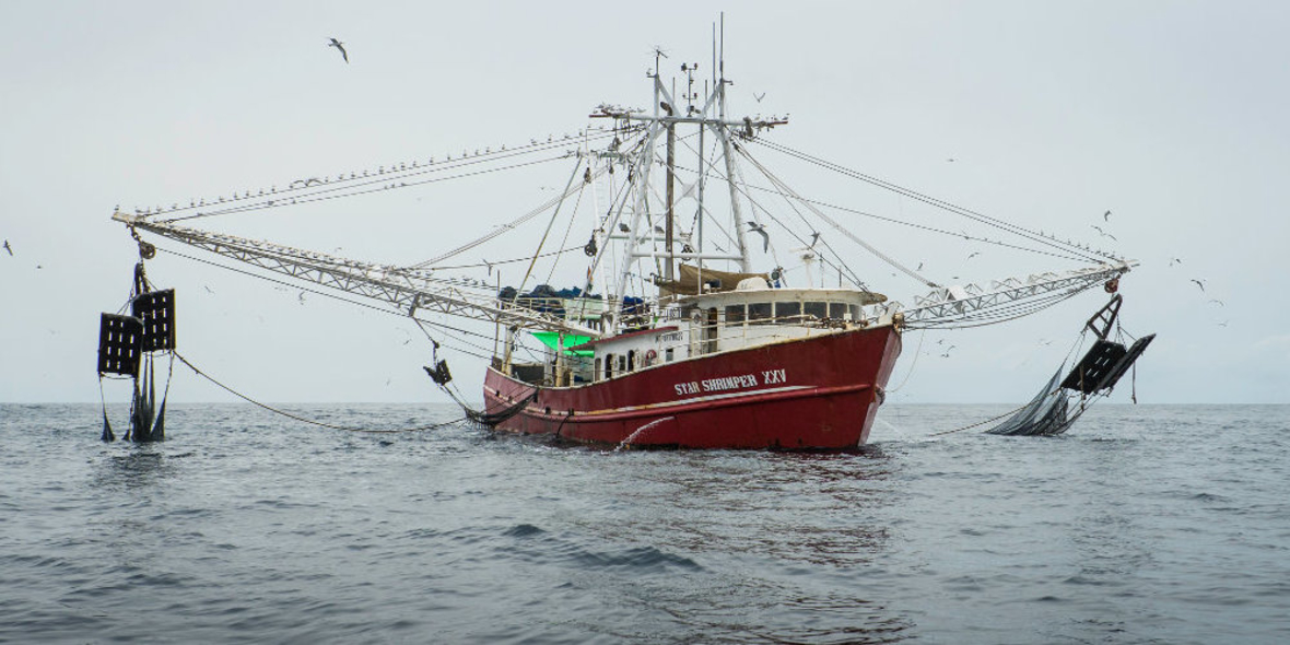 Nigeria geht gegen „nachhaltige“ Shrimp-Fischerei vor