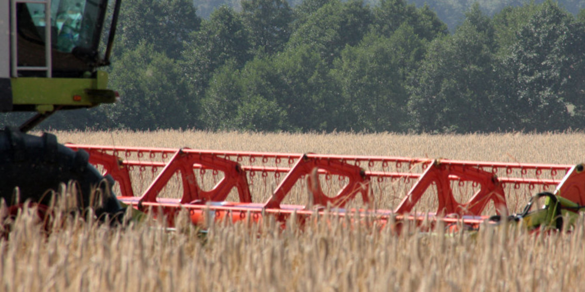 NABU fordert Umbau der Landwirtschaft 