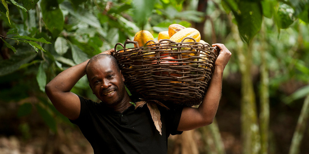 Fairtrade erhöht Mindestpreis für Kakao um 20 Prozent