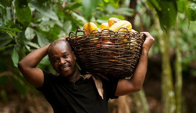 Fairtrade erhöht Mindestpreis für Kakao um 20 Prozent