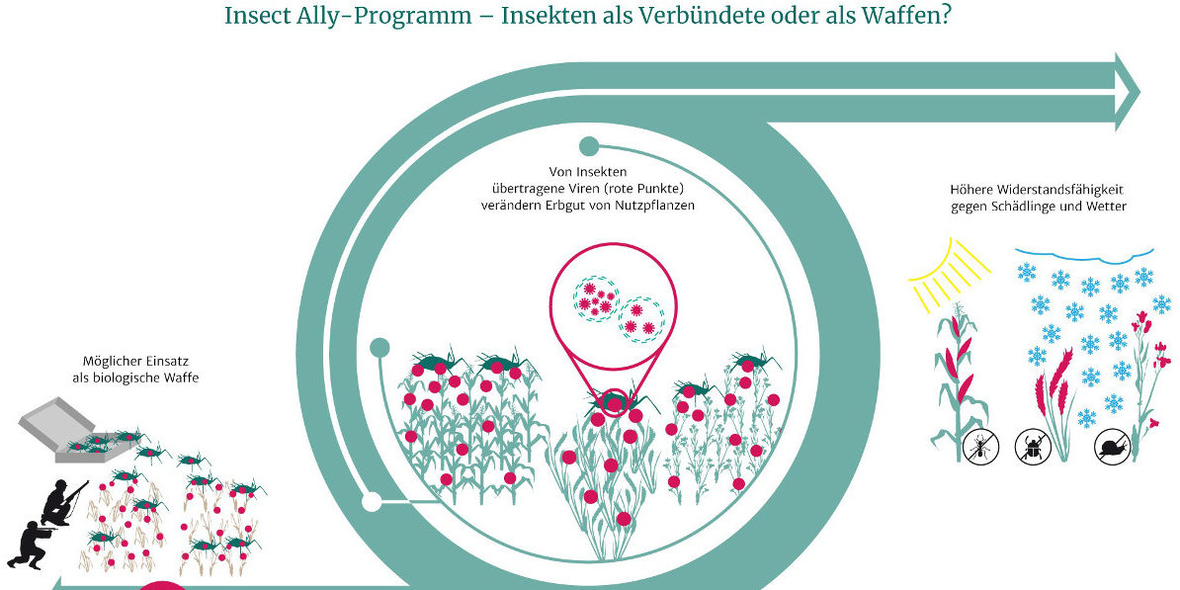 Biologische Kriegsführung mit Insekten?