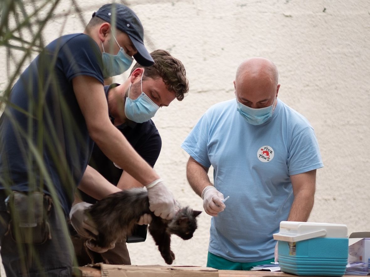Das Team kümmert sich nach der Rettung um die Zootiere