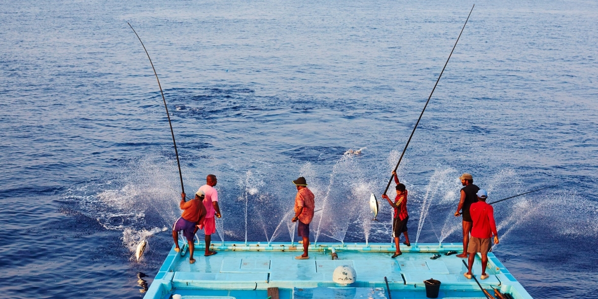 Thunfisch aus nachhaltiger Angelruten-Fischerei