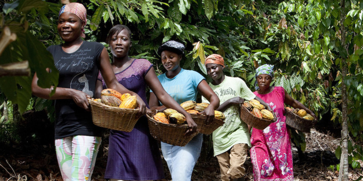 Geschlechtergleichstellung im Kaffee- und Kakaosektor 