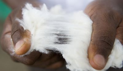 Umwelt- und Sozialstandards in der äthiopischen Textilindustrie