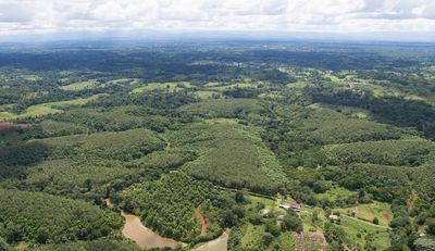 Tropenwald: Datenbasierte Vorhersage schont Boden, Klima und Geldbeutel