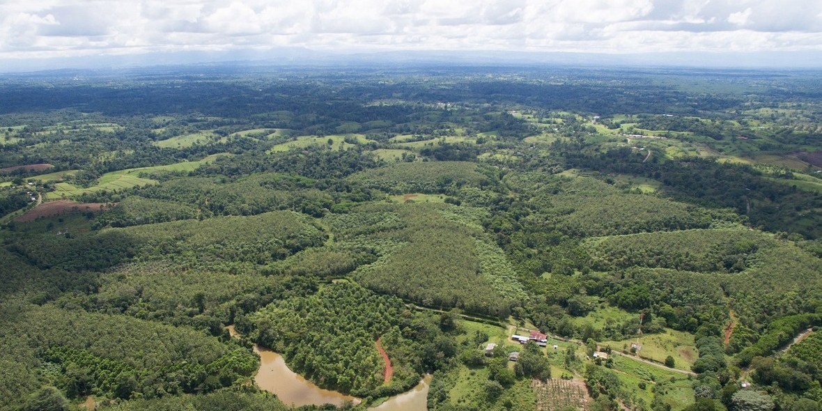 Tropenwald: Datenbasierte Vorhersage schont Boden, Klima und Geldbeutel