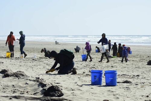 USA: Oregan Beach Cleanup 