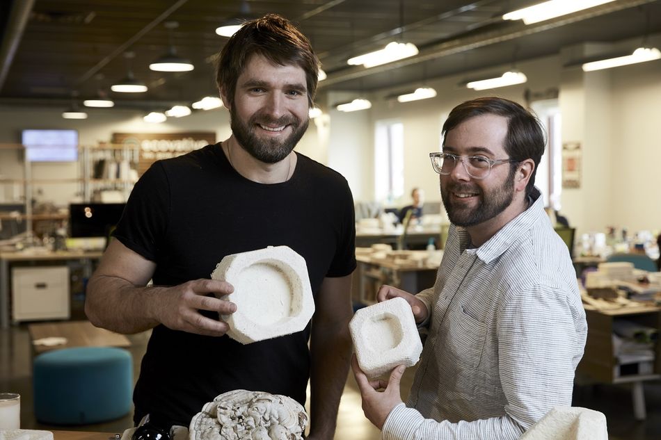 Mit Pilzen ökologische Verpackungen züchten: Eben Bayer und Gavin McIntyre (v.l.n.r.) als Finalisten für den Europäischen Erfinderpreis 2019 nominiert