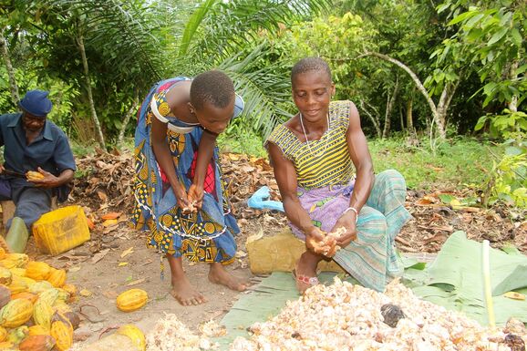 Ihre Mutter zeigt Emmanuelle die geernteten Bohnen. An der Elfenbeinküste sind viele junge Familienbetriebe im Kakao-Sektor tätig. Einige von ihnen gründeten die „Société Coopérative Équitable du Bandama“ (SCEB). 