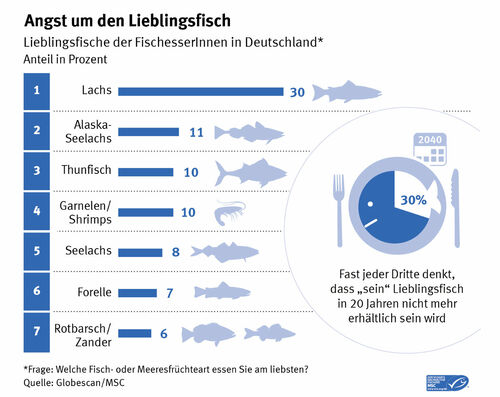 Infografik zum Lieblingsfisch in Deutschland