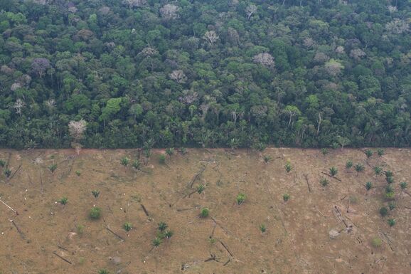 Abholzung auf dem Gebiet der Uru Eu Wau Wau im brasilianischen Bundesstaat Rondônia im März 2019.