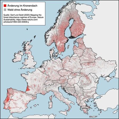 Kronendachöffnungen Europa